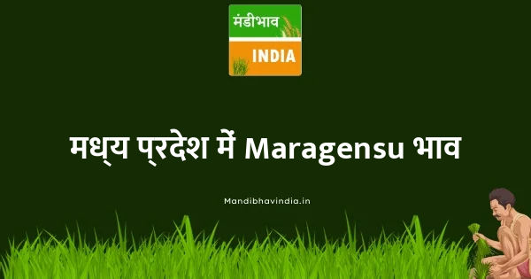 Maragensu भाव